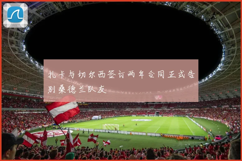 扎卡与切尔西签订两年合同正式告别桑德兰队友